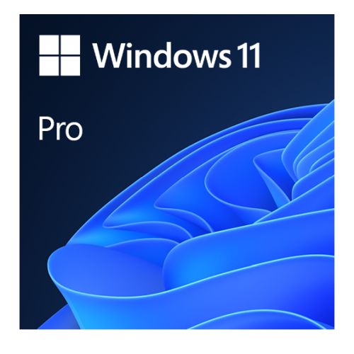 Microsoft Windows 11 Professional 64-bit, OEM DVD, Single Copy-0