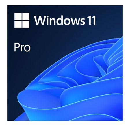 Microsoft Windows 11 Professional 64-bit, OEM DVD, Single Copy-2